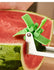 Multi Melon Slicer