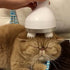 Automatic Pet Massager