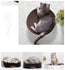 3-In-1 Bowl Type Cat Catnip Scratch Board Nail Scraper Mat Bed